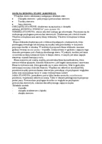 Ogólna budowa stanu jamowego