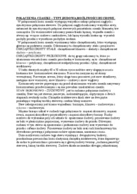 Połączenia czaszki