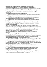 Połączenia kregosłupa