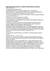 przytarczyce-grasica-budowa