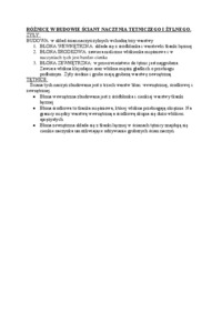 roznice-w-budowie-sciany-naczynia-tetniczego-i-zylnego