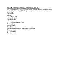 SCHEMAT BUDOWY KO__CA KO_CZYNY DOLNEJ