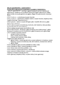 splot-ledzwiowo-krzyzowy