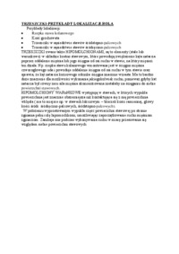 trzeszczki-przyklady-lokalizacji