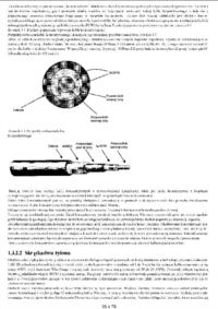 Multimedia i sieci komputerowe - skrypt s. 35