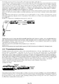 Multimedia i sieci komputerowe - skrypt s. 39