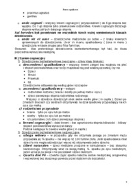 Dziedziczenie beztestamentowe - System agnacyjny 