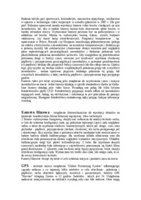 wykorzystanie-urzadzen-w-biomechanice