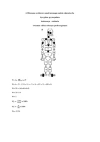 wyznaczanie-ruchliwosci-modelu-ciala