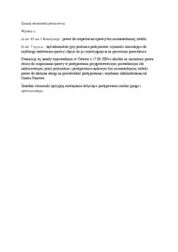 Zasada ekonomiki procesowej