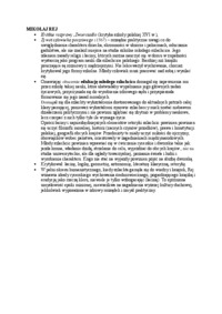 Historia wychowania - Mikołaj Rej