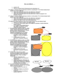 Systemy transportowe testy z sieci lokalnych