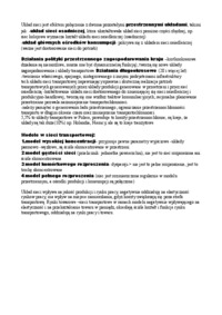 Ekonomika - sieci transportowe