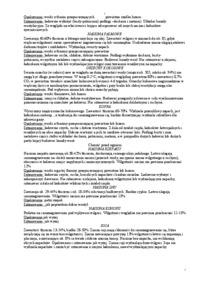 Ładunkoznastwo - Rodzaje ładunków