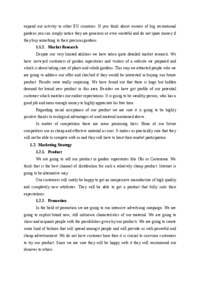 business-plan-przyklad