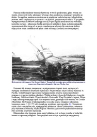 Eksploatacja portów - Fale tsunami