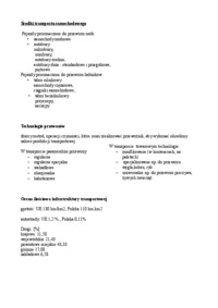 Transeuropejska sieć transportowa 1