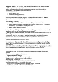 Transeuropejska sieć transportowa 2