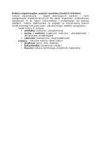 Kultura organizacyjna - pojęcie i poziomy