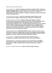 organizacja-przestrzeni-produkcyjnej