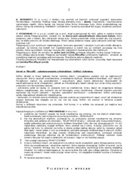 FILOZOFIA -  Augustyn, św. Tomasz z Akwinu, istnienie Boga