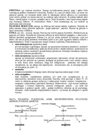 Filozofia - ogólne zagadnienia