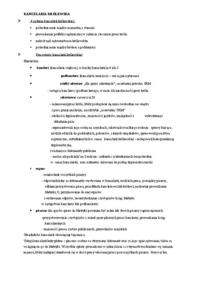 Kancelaria królewska - notatki z wykładu