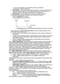 finanse-cwiczenia-dr-piszczek