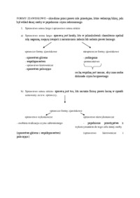 Formy zjawiskowe - wykład