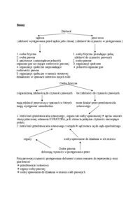 sklad-sadu-i-wylaczenie-jego-czlonka