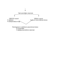 terminy-w-postepowaniu-sadowo-administracyjnym