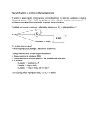 Figury hybrydalne w polskiej praktyce gospodarczej.