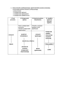Strony stosunku cywilnoprawnego, aspekt materialno prawny i procesowy.