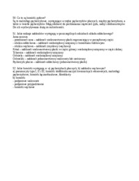 Budowa pęcherzyków płucnych 