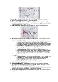 Decyzje produkcyjne pełnego monopolisty