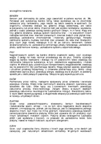 Wpływ transportu drogowego na zanieczyszczenie środowiska