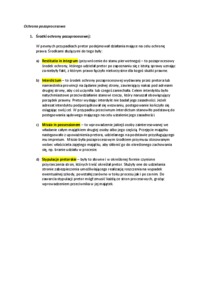 Ochrona pozaprocesowa.