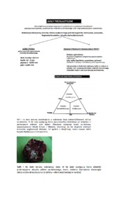 klasyfikacja-skal-osadowych