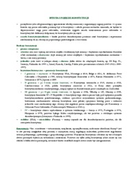 Istota i pojęcie konstytucji.