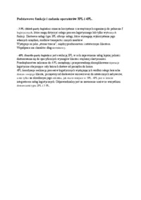 Podstawowe funkcje i zadania operatorów 3PL i 4PL