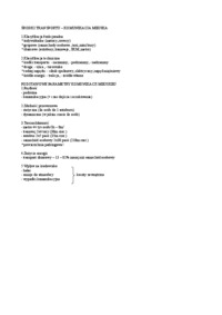 Środki transportu - komunikacja miejska