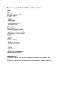 podstawowe-typy-i-ogolny-uklad-konstrukcyjny-pojazdow-samochodowych