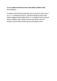 metodyka-podejscia-do-kwestii-mocowania-sztuki-ciezkiej-na-pokladach-statku-konwencjonalnego