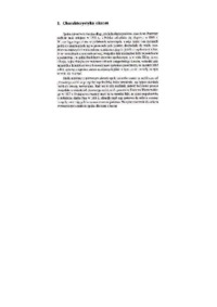 Epoka zaborów - charakterystyka