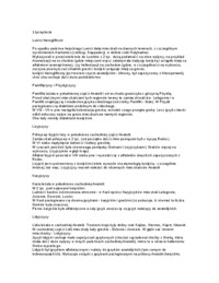 ludi-i-jezyki-anatolii