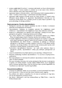 Historia państwa i prawa - wykład 6