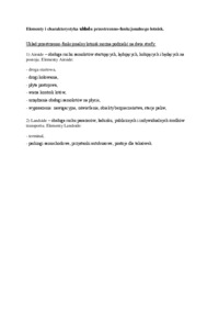 uklad-przestrzenno-funkcjonalny-lotnisk