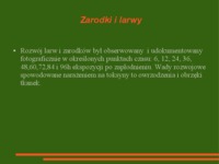 Ekotoksykologiczne skutki nanocząsteczek tlenków metali