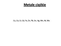 Porównanie pięciu modeli in vitro trawienia do wyników doświadczalnych in vivo