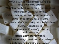 Rynek cukru w UE - prezentacja na politykę agralną